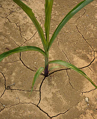 Rural Water Projects Seek Federal Aid