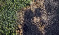 About 1,000 Saskatchewan Fire Evacuees Get the All Clear to Head Home