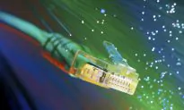 These Nanowires Take Time to Get Back in Shape