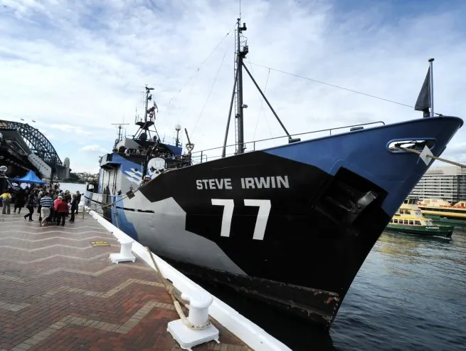 The environmental activist Sea Shepherd's main ship the Steve Irwin is anchored at Sydney Harbour after arriving on Aug. 31, 2012. (Romeo Gacad/AFP/GettyImages)