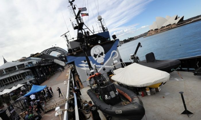 A general view shows the environmental activist Sea Shepherd's main ship, the Steve Irwin, docked at the Sydney harbor after arriving on Aug. 31, 2012. (Romeo Gacad/AFP/Getty Images)