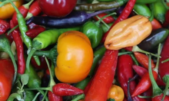 Red Hot Gourmet: Volume One