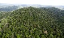 Amazon Imperiled by Climate Change Droughts: Study