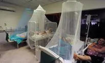 Threat of Dengue ‘All Across the Globe’