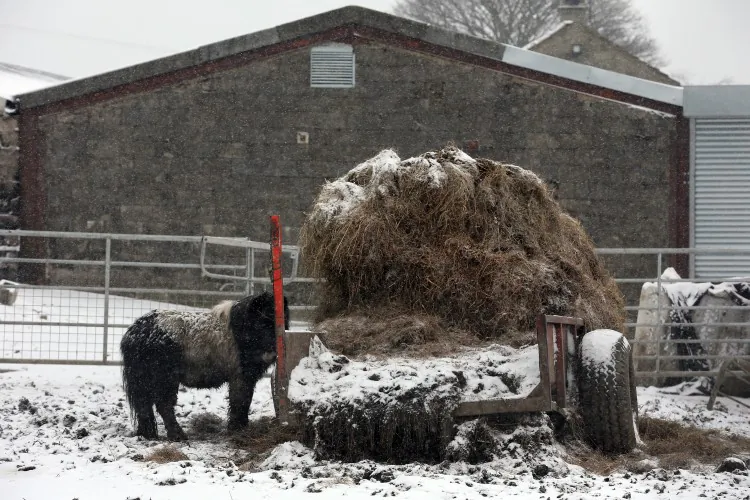 A general view of the Peter Boddy slaughterhouse which was raided as part of the police inquiry into the sale of horsemeat being sold as beef on Feb. 13, 2013 in Todmorden, England. (Christopher Furlong/Getty Images)