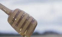 Honey: Studies Reveal Its Healing Properties