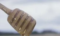 Honey: Studies Reveal Its Healing Properties