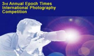 Preliminary Selection for Epoch Times Photography Competition Completed
