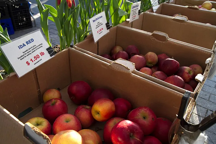 Assorted apples from the Orchard Run farm based in upstate New York for sale in March at a farmers market in Manhattan. (Benjamin Chasteen/The Epoch Times)