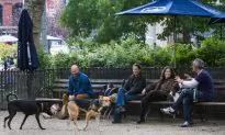 New Yorkers Resilient and Positive, Says Survey