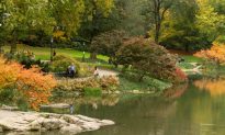 Celebrating Fall in New York City (Photos)