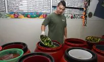 The Last Pickle Standing
