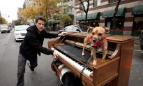 NYC Street Performer Travels Across America On $2.82