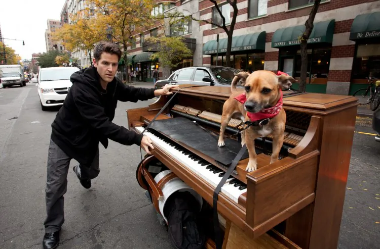Dotan Negrin and his dog Brando attract many passersby who stop to listen to the music or pet the dog. (Amal Chen/The Epoch Times)