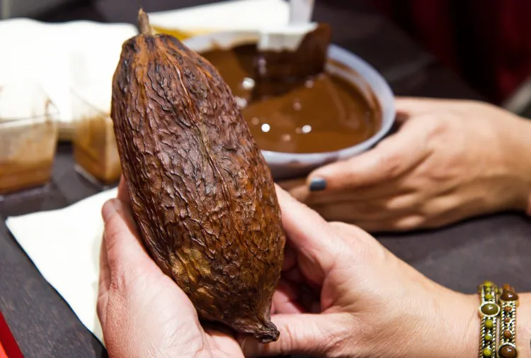 Laine Cialdella dips a pastry in chocolate. (Zachary Stieber/The Epoch Times)