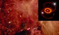 Scalar Particle Causes Supernovae and Global Warming?