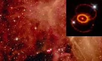 Scalar Particle Causes Supernovae and Global Warming?