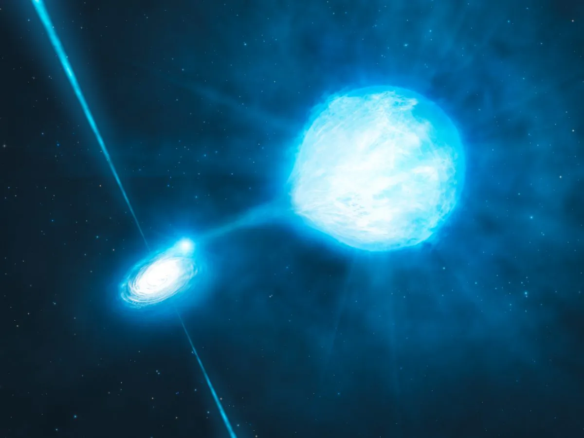 An artist’s rendering of NGC 300 X-1 as it was envisioned shortly after its discovery—an unusually massive black hole (left) with a Wolf-Rayet star (right). Binder and her colleagues recently showed that the Wolf-Rayet star may not be the black hole’s true companion.(ESO/L. Calçada/M. Kornmesser)