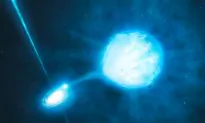 On Second Glance, Exotic Star System Looks a Bit Ordinary
