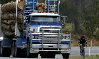 Stalemate over Australia’s Tasmanian Native Forests