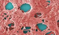 CDC Warns of Increasing Potentially Deadly Outbreaks From Drinking Tap Water