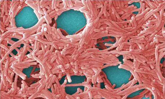 CDC Warns of Increasing Potentially Deadly Outbreaks From Drinking Tap Water