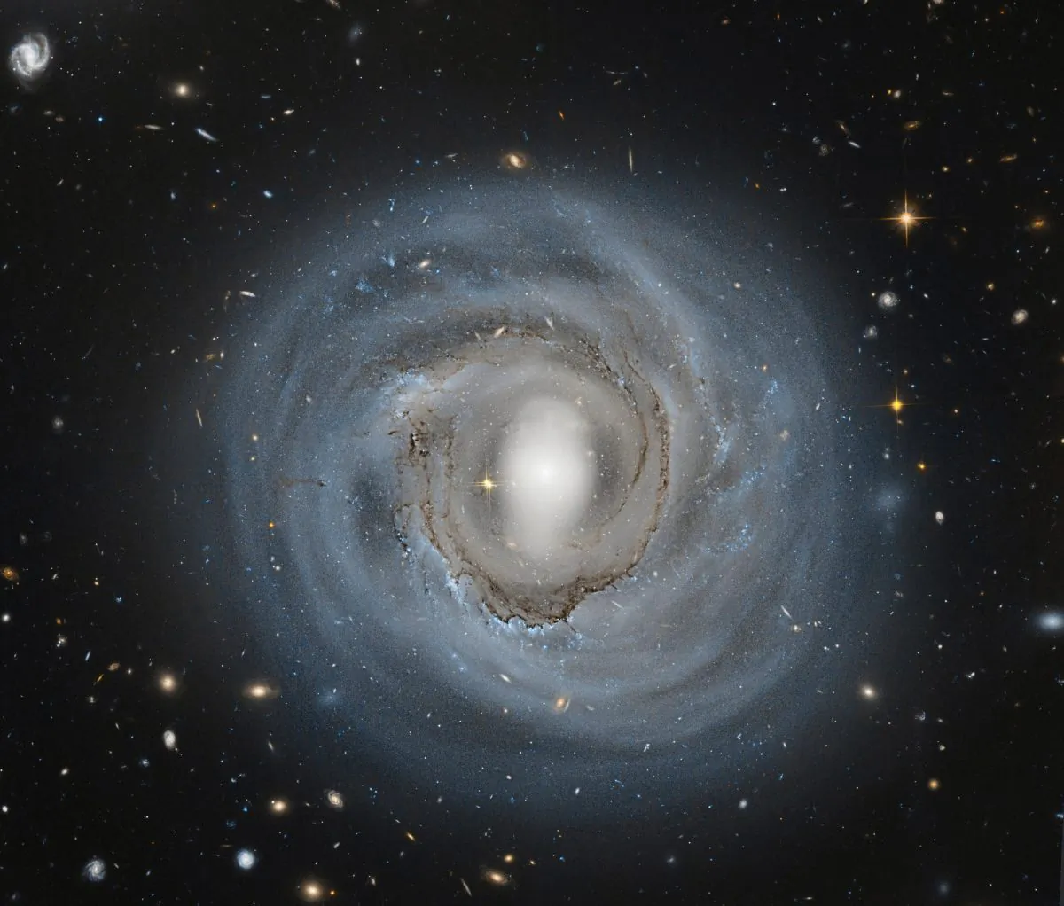 "The evidence for this is that dust filaments in the HST (Hubble Space Telescope) image look like taffy being stretched out," says Jeffrey Kenney. "We’re seeing this decoupling, clearly, for the first time." Above, Hubble Space Telescope image of a spiral galaxy in the Coma cluster. (NASA, ESA, and Roberto Colombari)