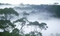 Cultural and Biological Diversity Hotspots Are Linked