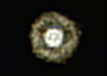 This picture of the nebula around a rare yellow hypergiant star called IRAS 17163-3907 is the best ever taken of a star in this class and shows for the first time a huge dusty double shell surrounding the central star. (ESO/E. Lagadec)