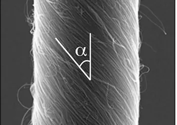 Flexing Carbon Nanotube Motor Mimics Muscles
