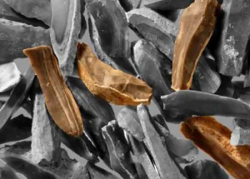 Sophisticated Blades Mass-Produced Up to 400,000 Years Ago