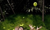 The Perils of a Father Seeking Political Power by Legal Means in China