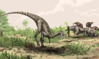 Earliest Dinosaur Found in Africa?