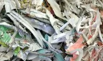 Annual Shred Fest this Sunday