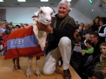 Shrek, with Bendigo Station owner John Perrian, after he had his fleece shorn. (Ross Land/Getty Images) Shrek, with Bendigo Station owner John Perrian, after he had his fleece shorn. (Ross Land/Getty Images)