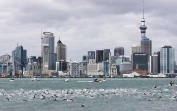 Swimmers make their way from Stanley Bay in Devonport on the North Shore across to the Viaduct Harbour in the city during the annual Auckland Harbour Crossing. (Phil Walter/Getty Images)