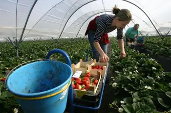 East European Migrant Workers Flee to Avoid Economic Crisis