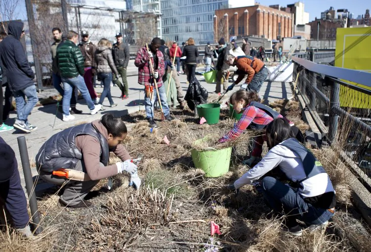 Ten teenagers from the Highline Green Corps program, as well as park volunteers helped clean out the dried grass on the Highline on March 27. (Samira Bouaou/The Epoch Times)
