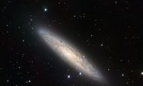 Young Stars Budding in Nearby Spiral Galaxy