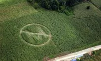 Soybean Farmer Squares Off With Monsanto Over Patent Law