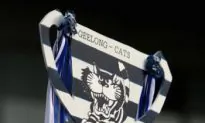 AFL-Scary Cats Invincible