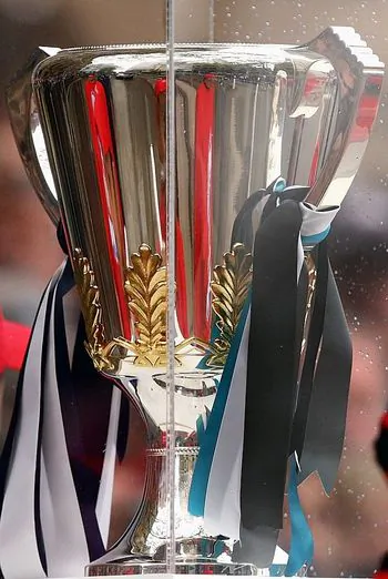 The AFL Premiership Cup. (Mark Dadswell/Getty Images)