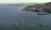Questions on Radiation at Treasure Island Remain