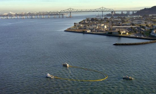 Questions on Radiation at Treasure Island Remain