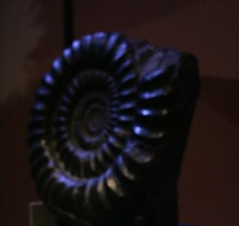 The History Before History, Part I