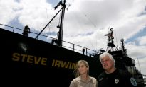 Sea Shepherd Win Court Ruling Over Released Bluefin Tuna