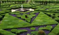 High-End or Low? Tipoff Terms in Real Estate Listings