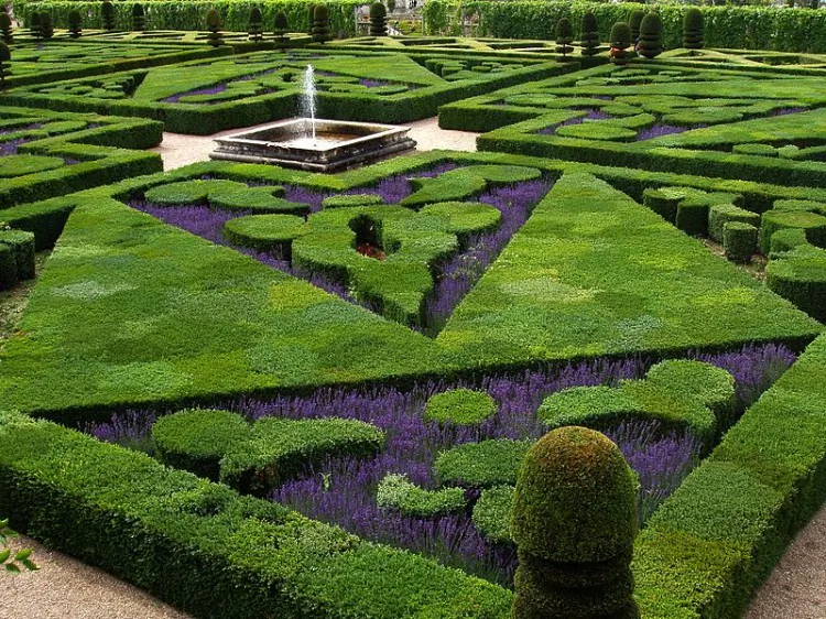 A formal garden in Loire Valley in France. (Courtesy of Wikimedia Commons)