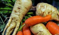 Wonky Fruit and Vegetables to Enter EU Market