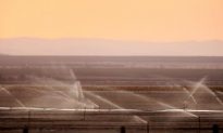 California Seeks Change of Government Water Restrictions